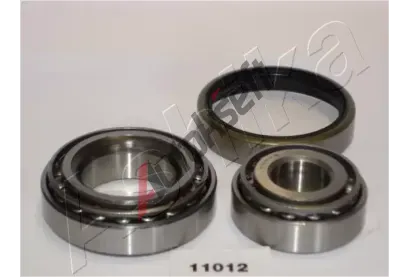 ASHIKA Sada loiska kola ASH 44-11012, 44-11012