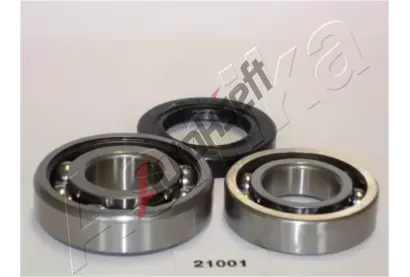 ASHIKA Sada loiska kola ASH 44-21001, 44-21001