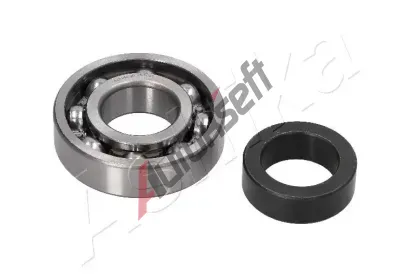 ASHIKA Sada loiska kola ASH 44-26010, 44-26010