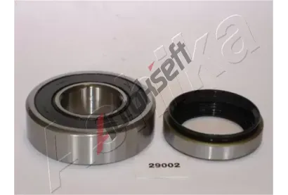 ASHIKA Sada loiska kola ASH 44-29002, 4429002