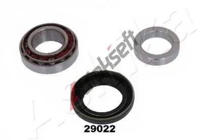 ASHIKA Sada loiska kola ASH 44-29022, 44-29022
