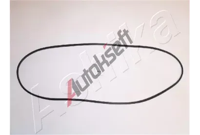 ASHIKA T�sn�n� krytu hlavy v�lce ASH 47-02-213, 4702213