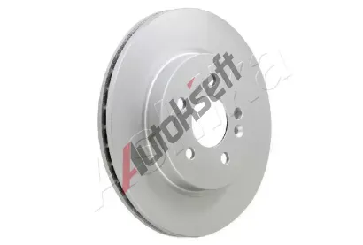 ASHIKA Brzdov kotou - 303 mm ASH 60-00-0554, 60-00-0554