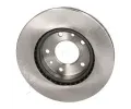 ASHIKA Brzdov kotou - 273 mm ASH 60-0K-003, 60-0K-003