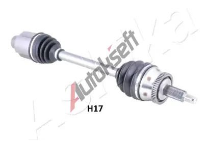 ASHIKA Hnac� h��del ASH 62-0H-H17, 62-0H-H17