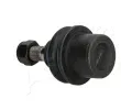 ASHIKA ep ramene ASH 73-0L-L02, 73-0L-L02
