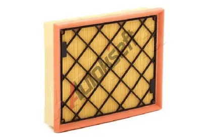 ASHIKA Vzduchov filtr ASH FA-0317JM, FA-0317JM