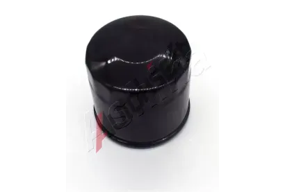 ASHIKA Hydraulick filtr automatick pevodovky ASH FTA001, FTA001