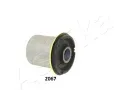 Uloen dicho mechanismu ASHIKA ‐ ASH GOM-2067