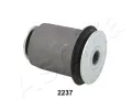 Uloen dicho mechanismu ASHIKA ‐ ASH GOM-2237