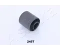 Uloen dicho mechanismu ASHIKA ‐ ASH GOM-2457