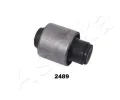 Uloen dicho mechanismu ASHIKA ‐ ASH GOM-2489