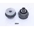 Uloen dicho mechanismu ASHIKA ‐ ASH GOM-2501