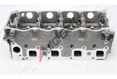 ASHIKA Hlava vlce ASH NS012S, NS012S