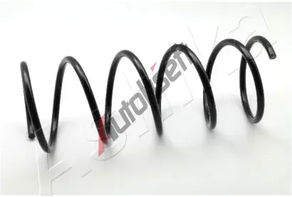 ASHIKA Pruina podvozku ASH ZCA1065A, ZCA1065A