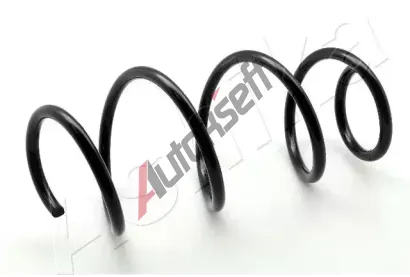 ASHIKA Pruina podvozku ASH ZCA4117A, ZCA4117A