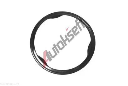 AUTOMEGA Těsnění výfukové trubky ATM 273840810, 273840810 AUTOMEGA Těsnění výfukové trubky ATM 273840810, 273840810