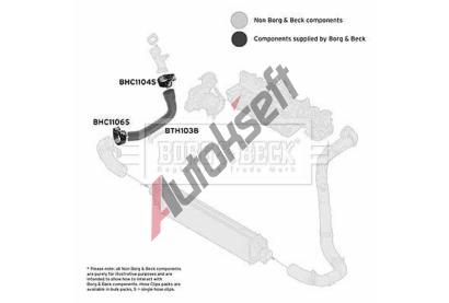 BORG & BECK Hadice plnic�ho vzduchu BB BTH1038, BTH1038