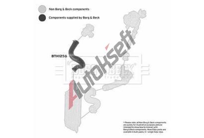 BORG & BECK Hadice plnicho vzduchu BB BTH1258, BTH1258