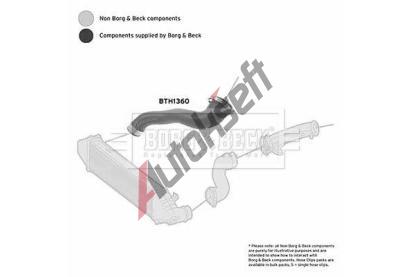 BORG & BECK Hadice plnicho vzduchu BB BTH1360, BTH1360
