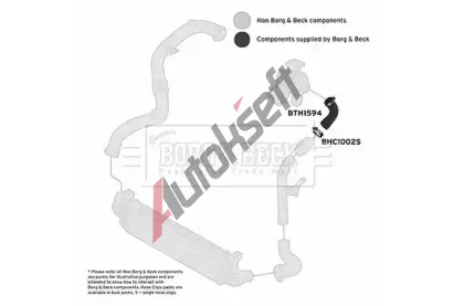 BORG & BECK Hadice plnicho vzduchu BB BTH1594, BTH1594