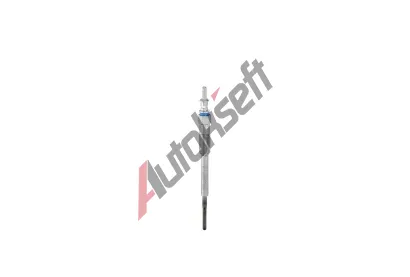 BERU havic svka BE GN1009, GN1009