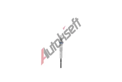 BERU havic svka BE GN1017, GN1017