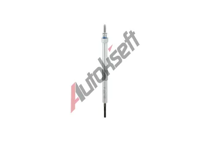 BERU havic svka BE GN1019, GN1019