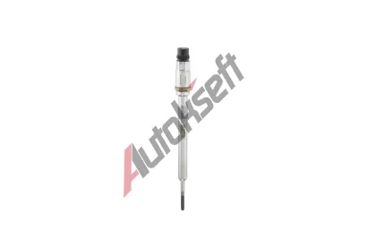 BERU havic svka PSG BE PSG009, PSG009