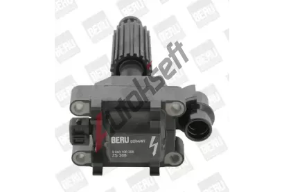 BERU Zapalovac cvka BE 0040100308, BE ZS308