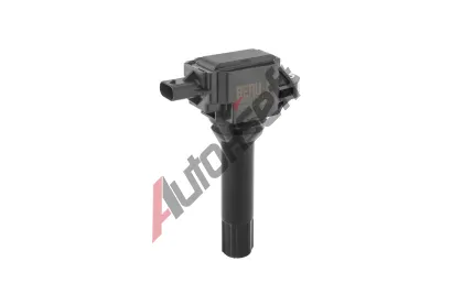 BERU Zapalovac cvka BE ZS613, ZS613