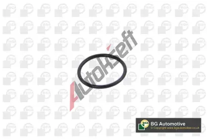 BGA T�sn�n� vakuov�ho �erpadla BGA AG0670, AG0670