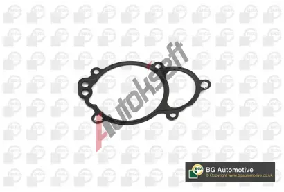 BGA Těsnění rozvodového ústrojí BGA AH0120, AH0120 BGA Těsnění rozvodového ústrojí BGA AH0120, AH0120