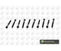 Sada �roub� pro hlavy v�lc�&nbsp;BGA&nbsp;&dash;&nbsp;BGA BK0105