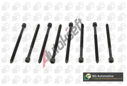 BGA Sada �roub� pro hlavy v�lc� BGA BK1315, BK1315