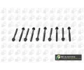 Sada �roub� pro hlavy v�lc�&nbsp;BGA&nbsp;&dash;&nbsp;BGA BK1318