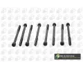 Sada �roub� pro hlavy v�lc�&nbsp;BGA&nbsp;&dash;&nbsp;BGA BK2334