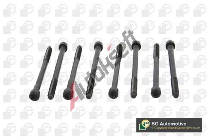 BGA Sada �roub� pro hlavy v�lc� BGA BK2334, BK2334