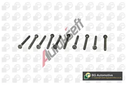 BGA Sada �roub� pro hlavy v�lc� BGA BK2336, BK2336