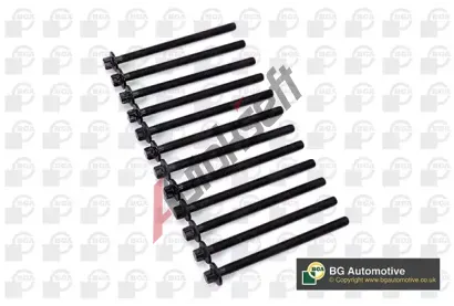 BGA Sada �roub� pro hlavy v�lc� BGA BK4305, BK4305