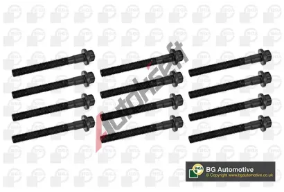 BGA Sada �roub� pro hlavy v�lc� BGA BK4389, BK4389