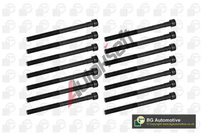 BGA Sada �roub� pro hlavy v�lc� BGA BK5364, BK5364