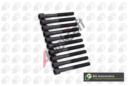 BGA Sada �roub� pro hlavy v�lc� BGA BK5376, BK5376