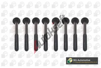 BGA Sada �roub� pro hlavy v�lc� BGA BK5930, BK5930