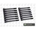 Sada �roub� pro hlavy v�lc�&nbsp;BGA&nbsp;&dash;&nbsp;BGA BK6388