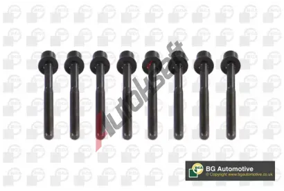 BGA Sada �roub� pro hlavy v�lc� BGA BK7300, BK7300