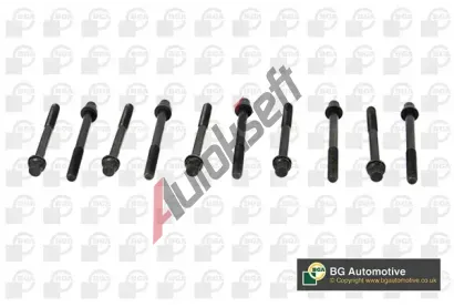 BGA Sada �roub� pro hlavy v�lc� BGA BK7542, BK7542