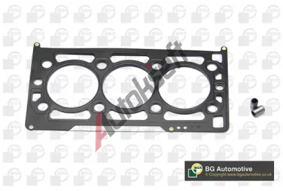 BGA T�sn�n� hlavy v�lce BGA CH3524, CH3524