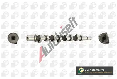 BGA Vačkový hřídel BGA CS2542, CS2542 BGA Vačkový hřídel BGA CS2542, CS2542