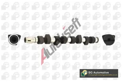 BGA Vačkový hřídel BGA CS4312, CS4312 BGA Vačkový hřídel BGA CS4312, CS4312